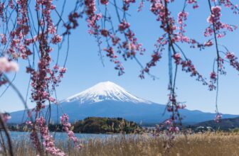 Best Place to See Mount Fuji