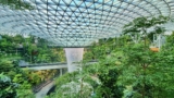 Things to do in Changi Airport in Singapore